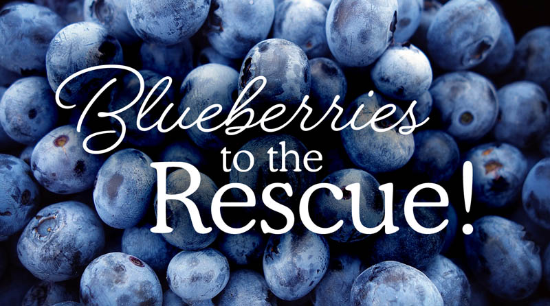 Photo of blueberries