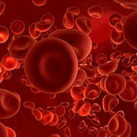 Illustration of red blood cells flowing